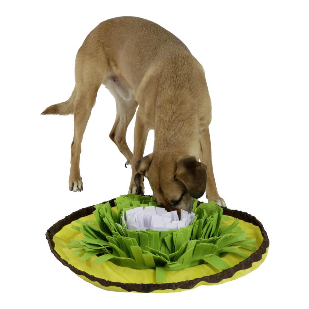 Schnüffelteppich Bowl - gelb/grün/weiss