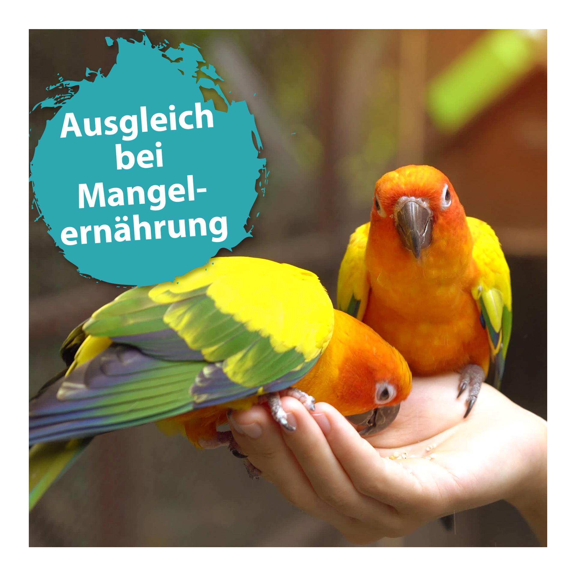 Mispusan - Mineralfuttermittel für Amphibien, Reptilien & Vögel