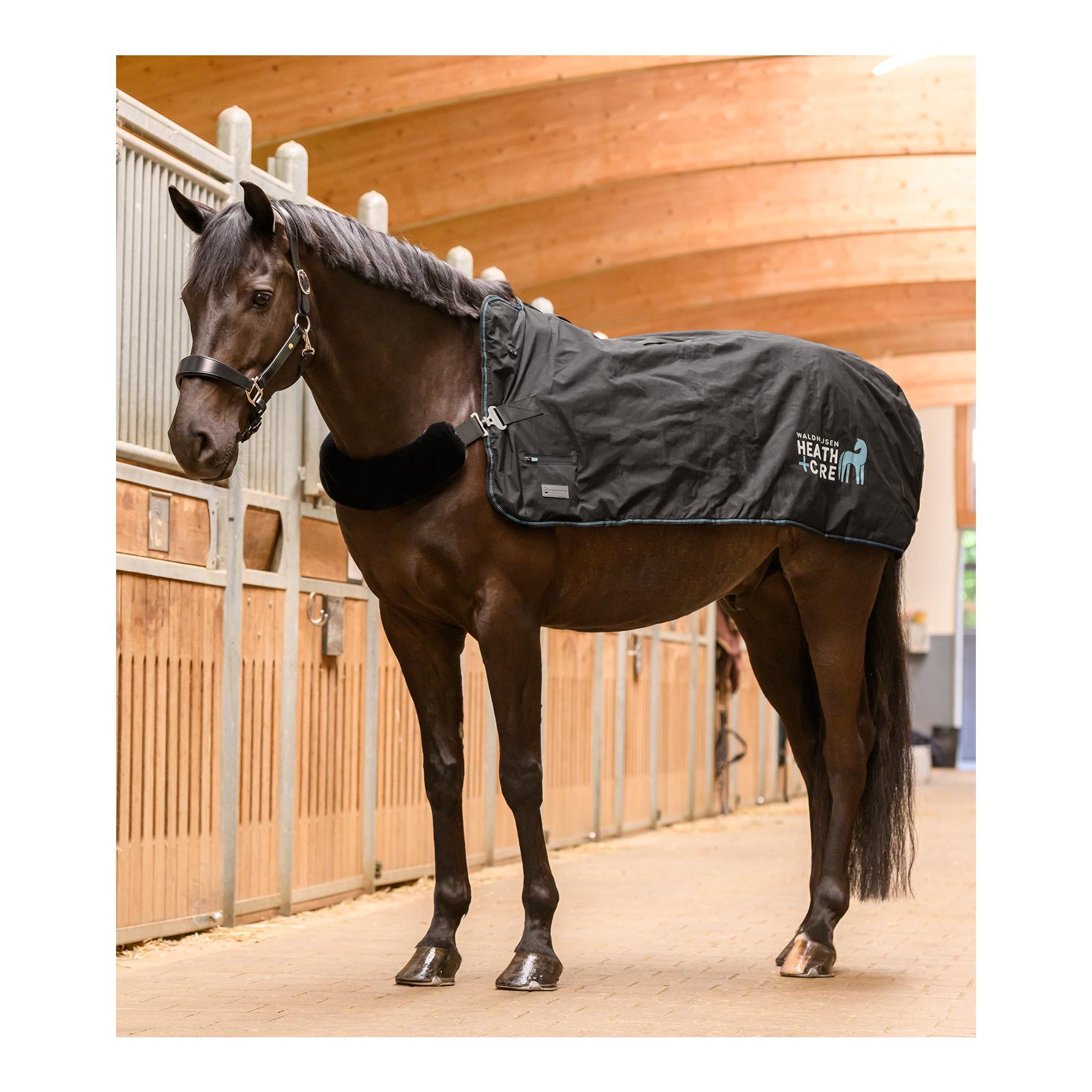 Health + Care Waldhausen Health + Care TecSupreme Heiz- & Massagedecke