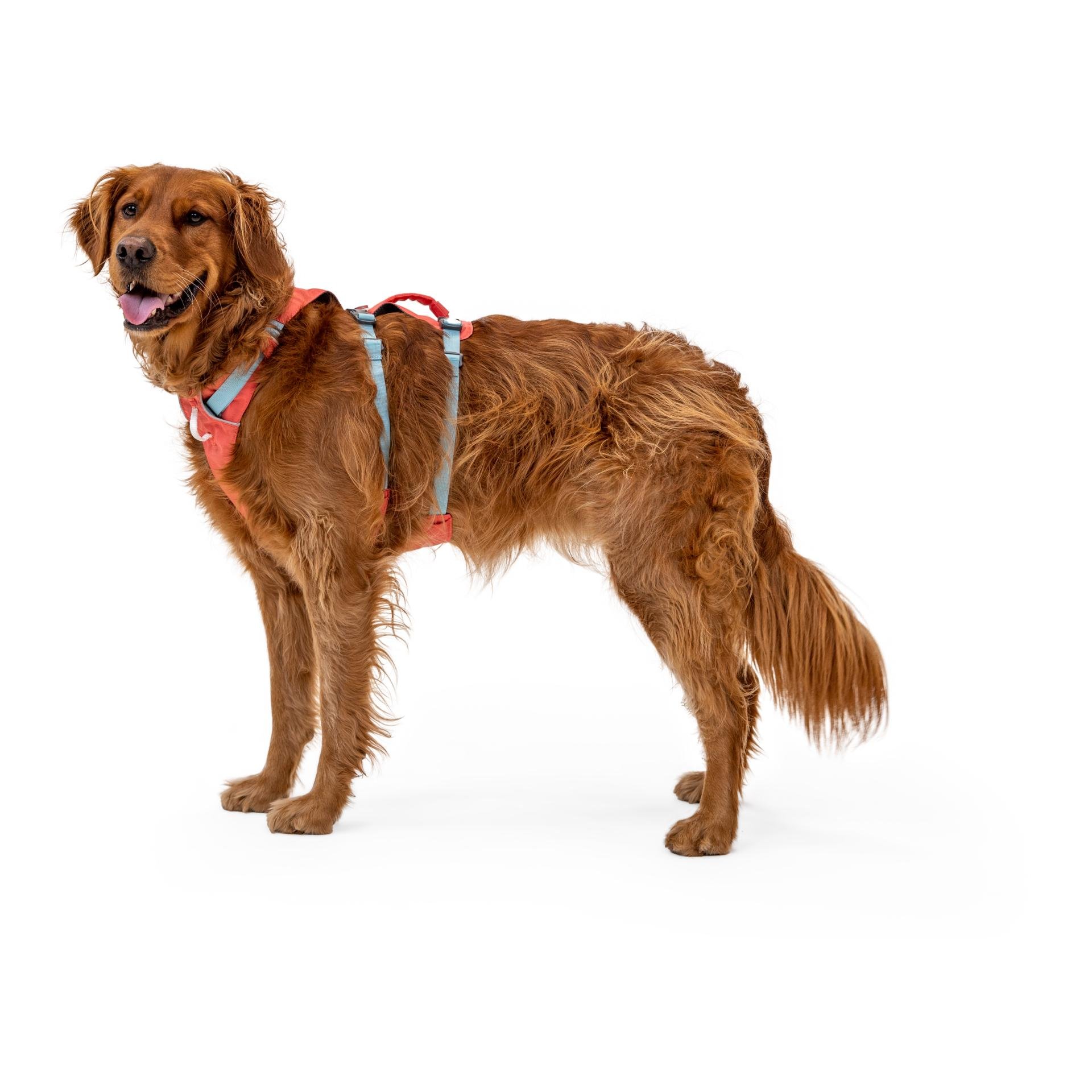 Ruffwear Harnais Flagline™