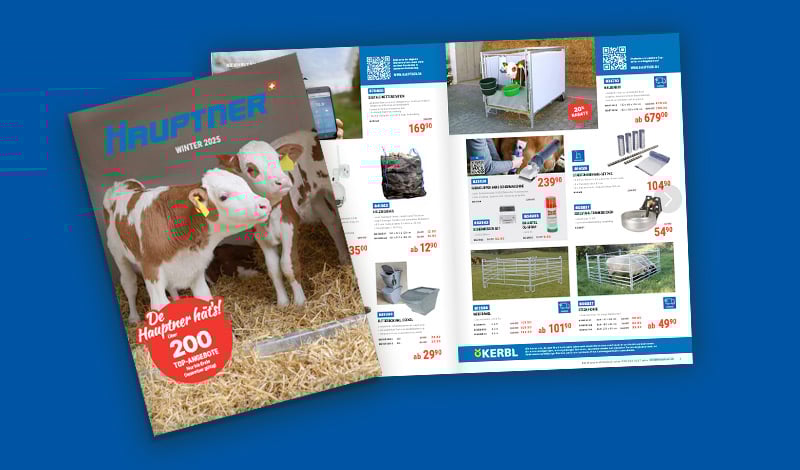 Hauptner-Winterbroschuere-neu