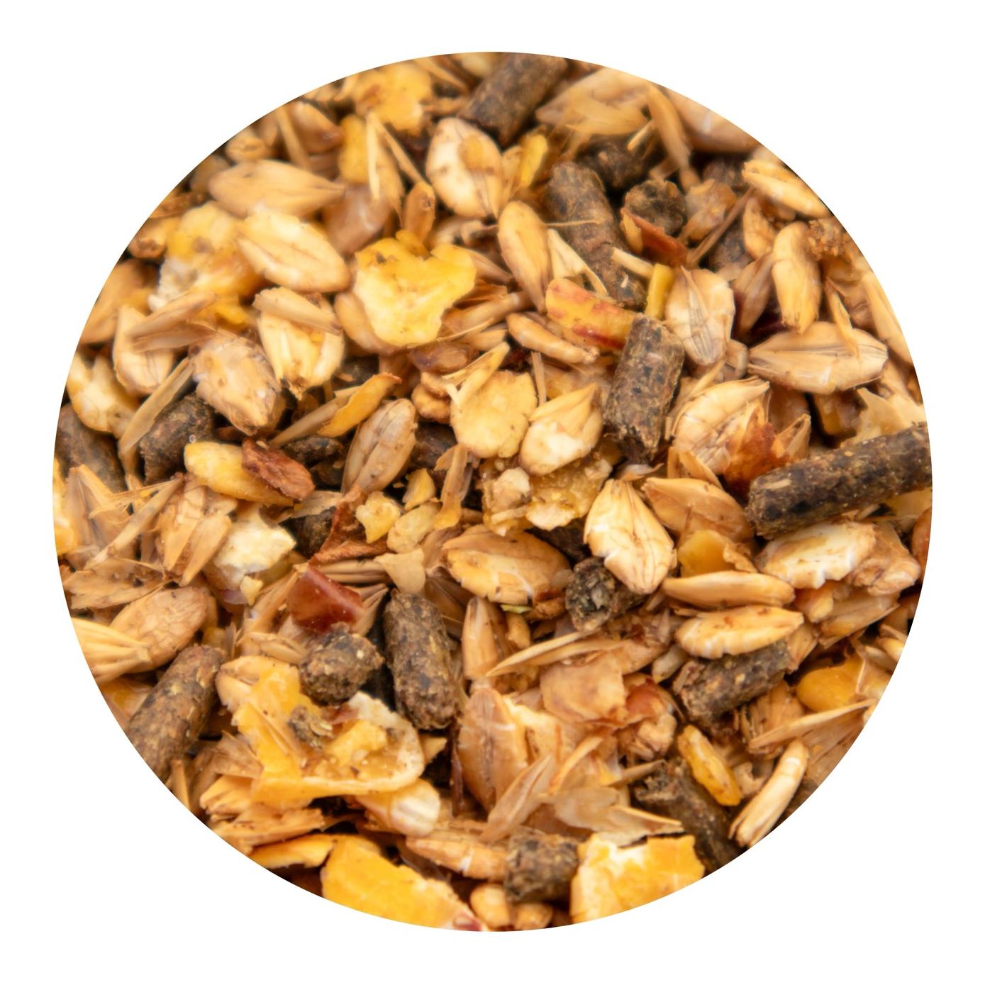 granovit Cavallo Mélange western sans avoine