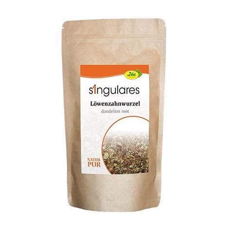 Singulares Löwenzahnwurzel
