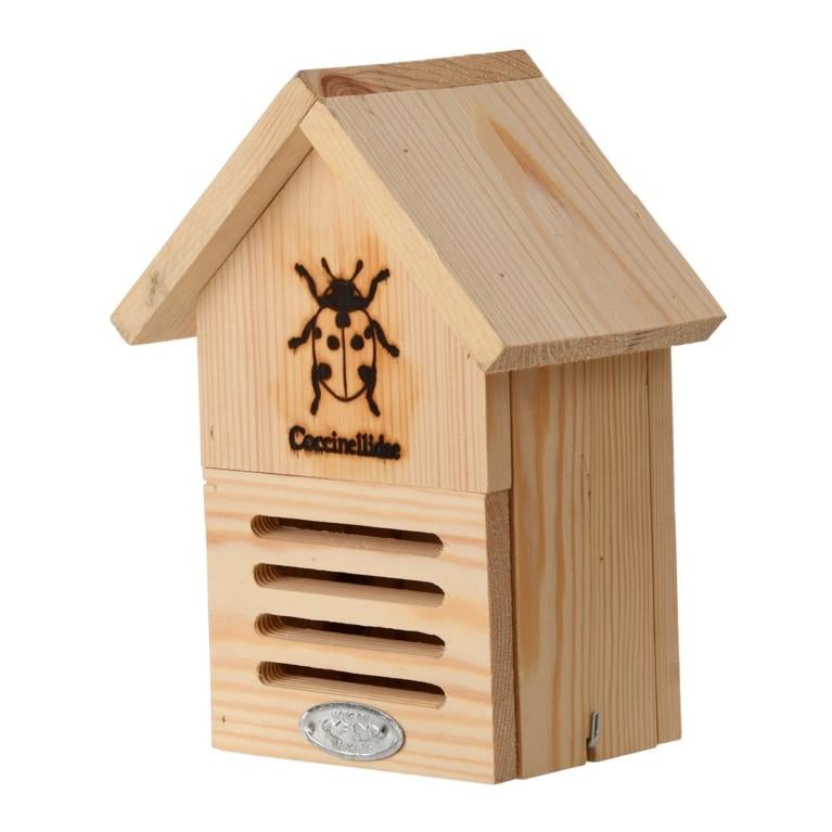 Marienkäferhaus mit Silhouette