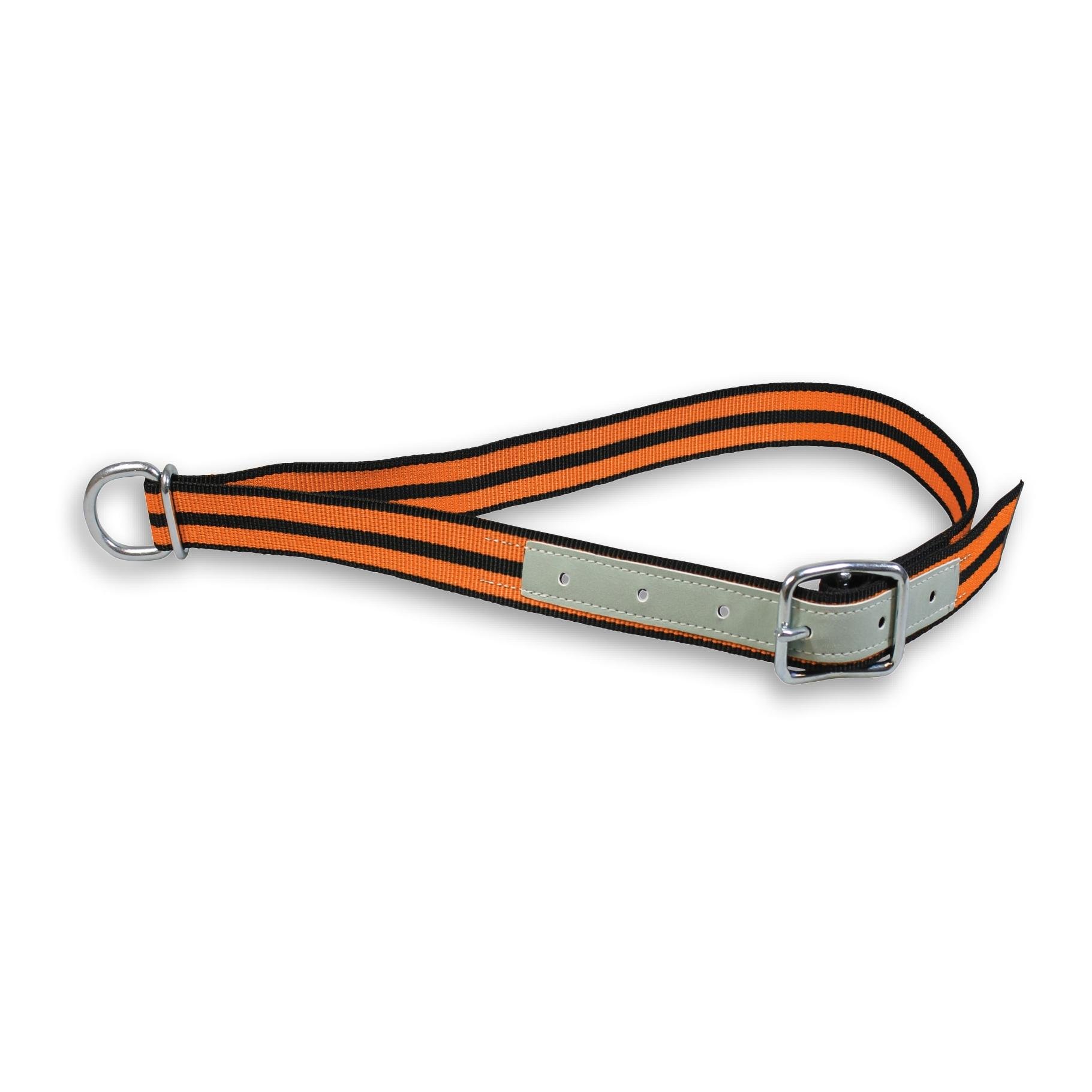 Collier avec boucle à ardillon 40 mm