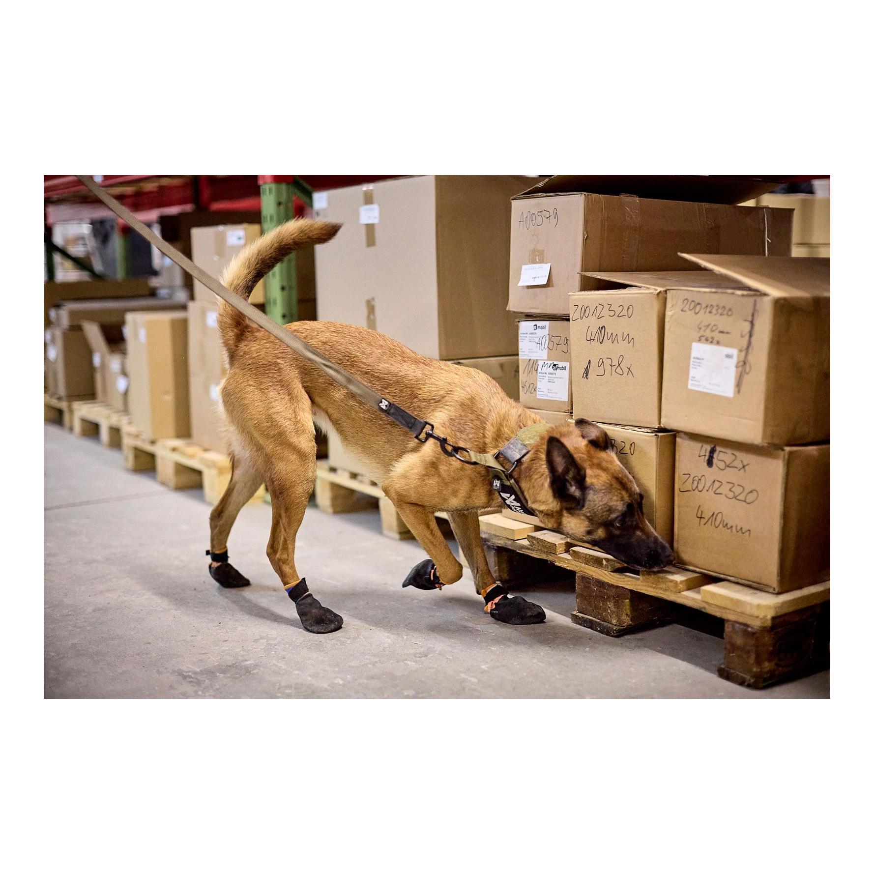 Laisse pour chien Solid Leash Working Dog