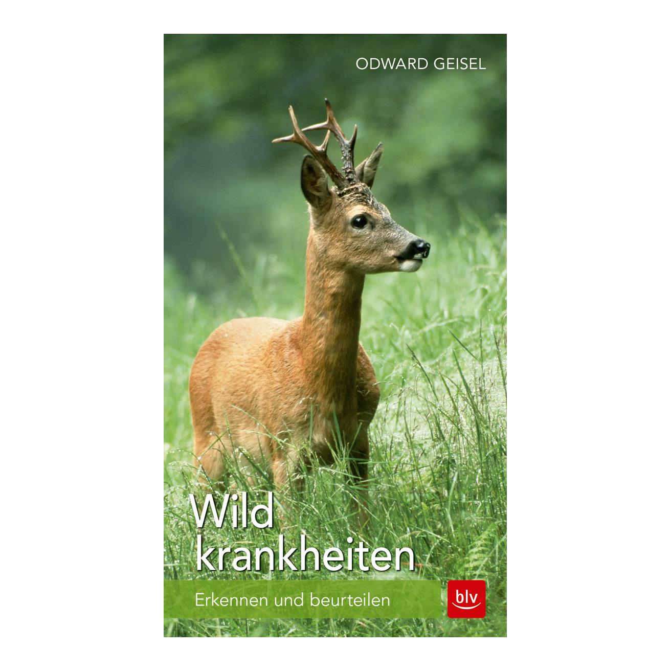 Wildkrankheiten - Erkennen und beurteilen