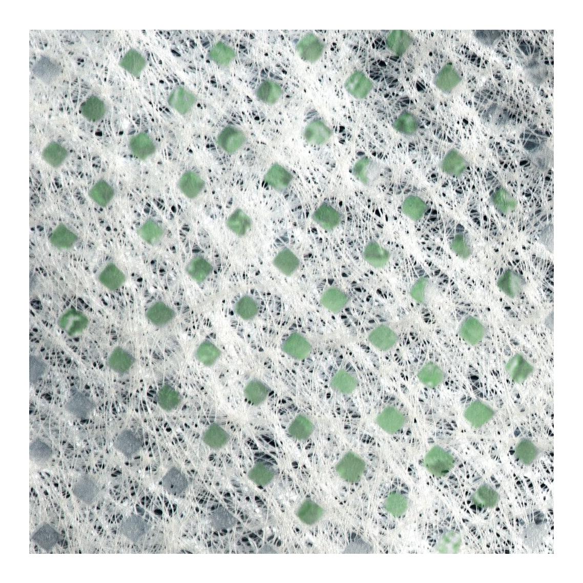 Matériau non-tissé de jardin Standard