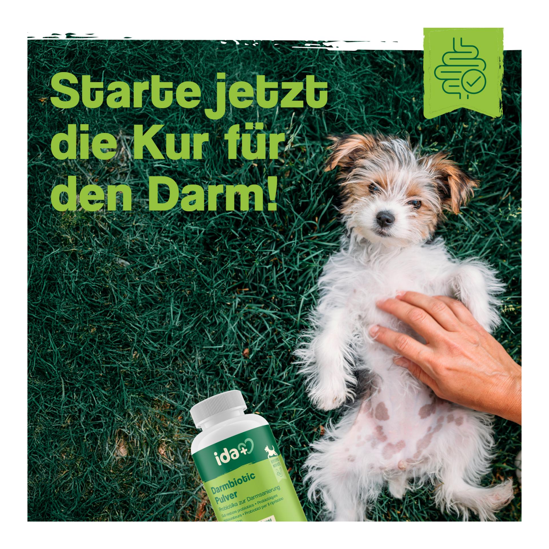 Darmbiotic Pulver - Probiotika zur Darmsanierung für den Hund