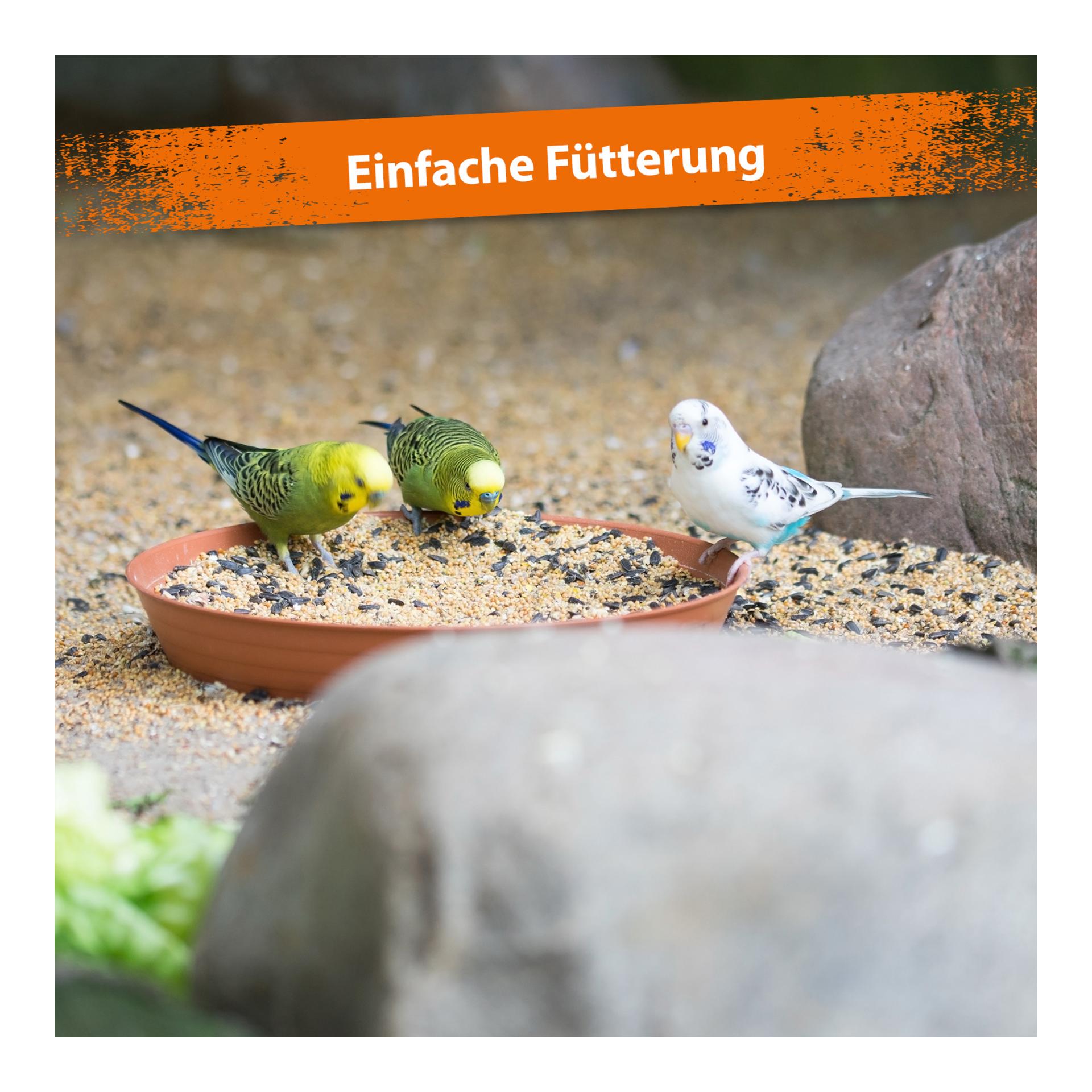 Mispusan - Mineralfuttermittel für Amphibien, Reptilien & Vögel