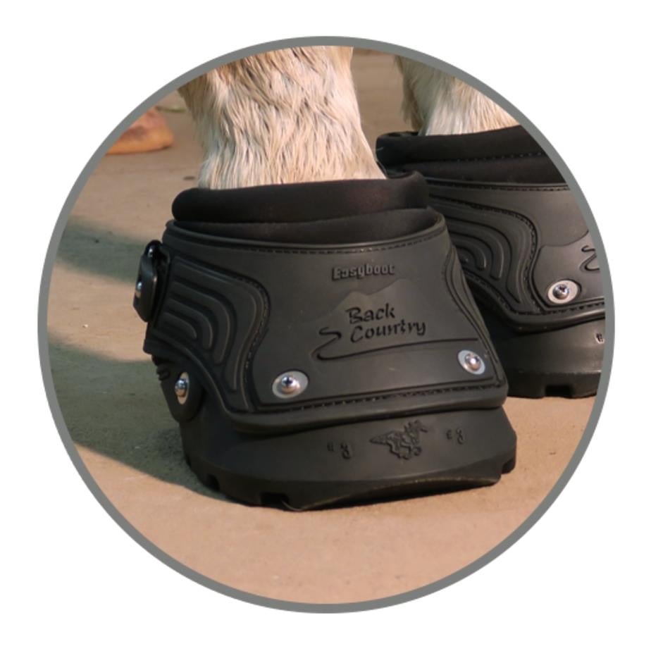 New Back Country (Stück)