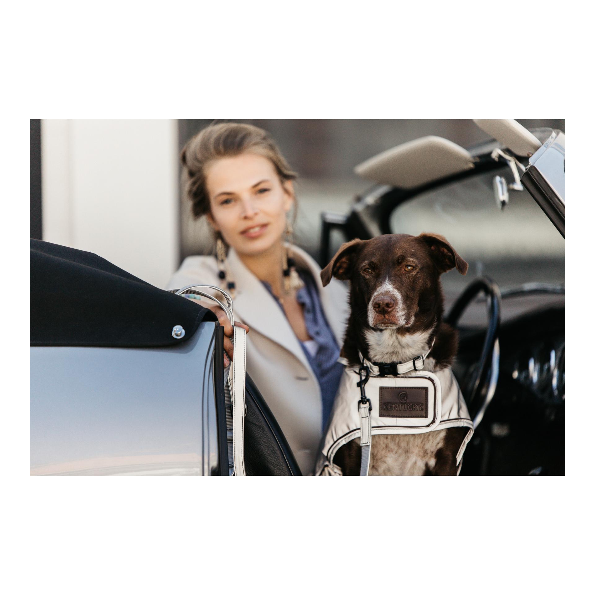 Hundehalsband Reflective - silber