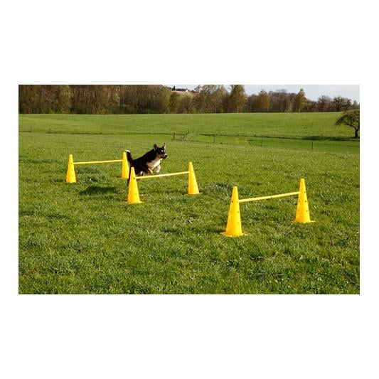 Kit de pylônes-haies Agility