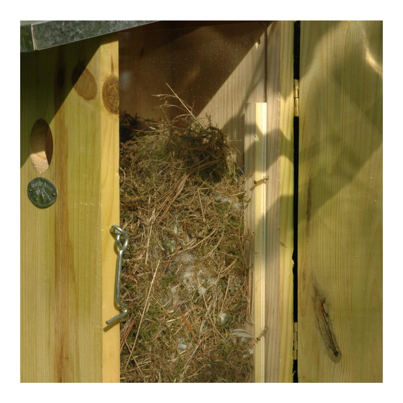 Beobachtungsnistkasten