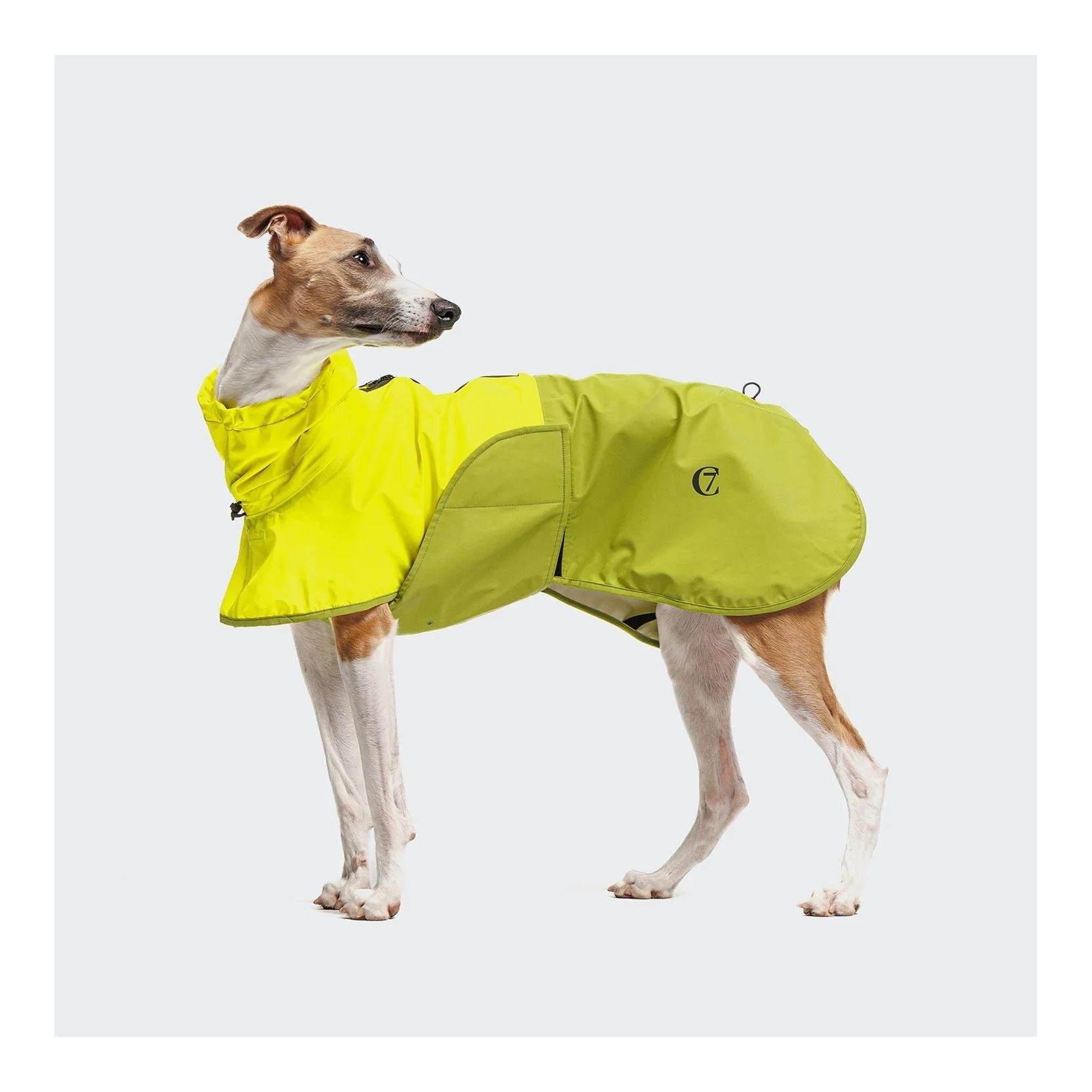 Hunderegenmantel Aktiv