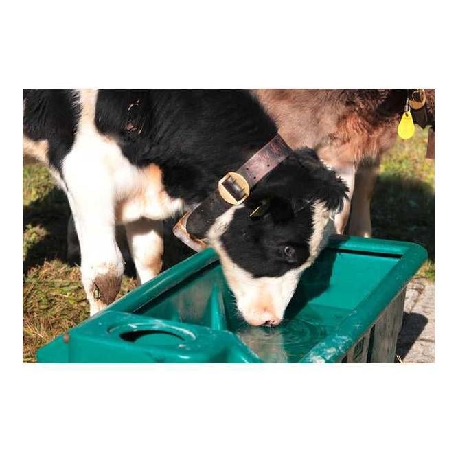 Tränke Modell WT 200