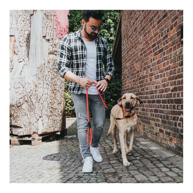 Dressurhalsung Freestyle - rot