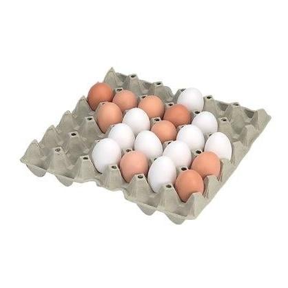 Eierverpackungen - Eierhorden aus Karton