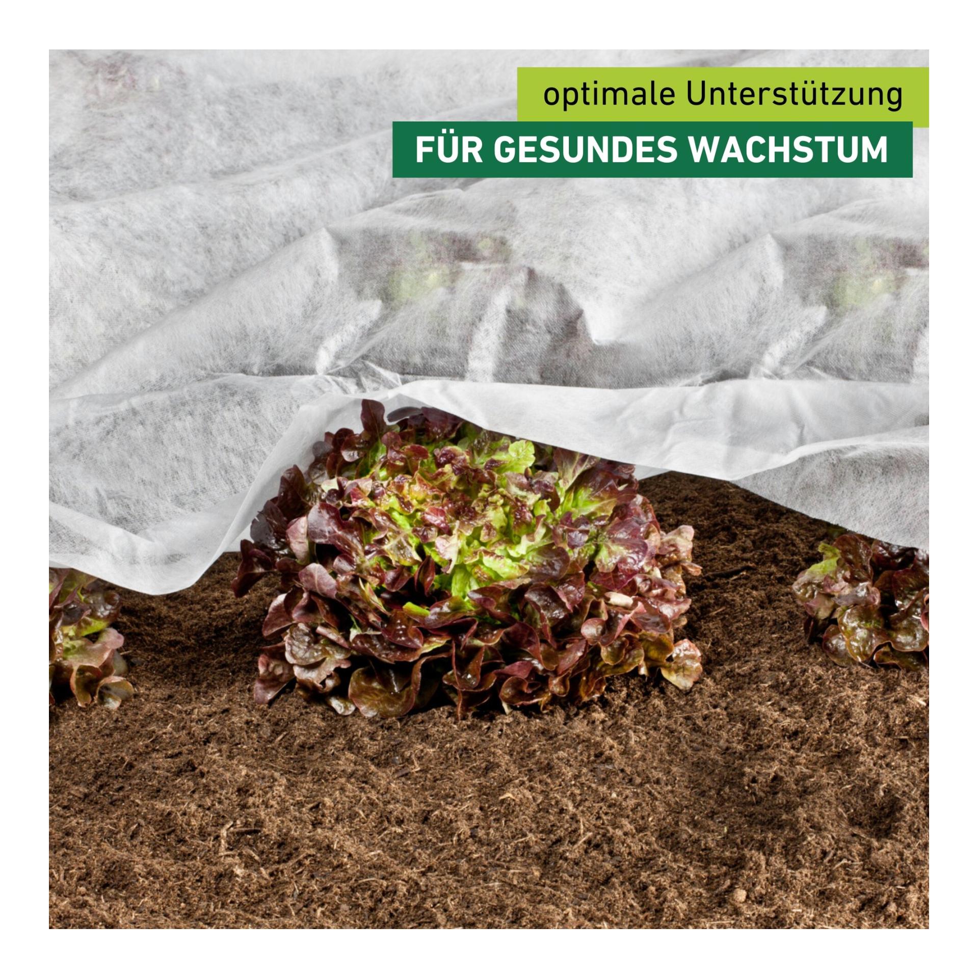 Wachstumsvlies Greenline