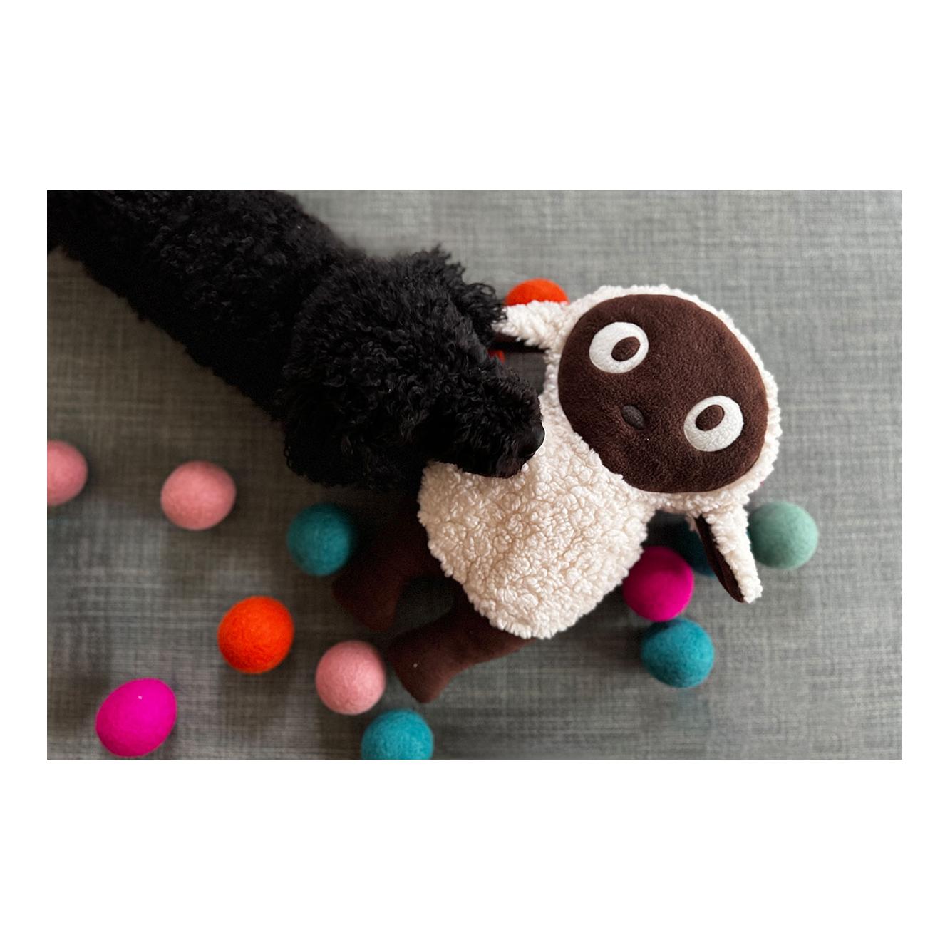 Hundespielzeug MANNY