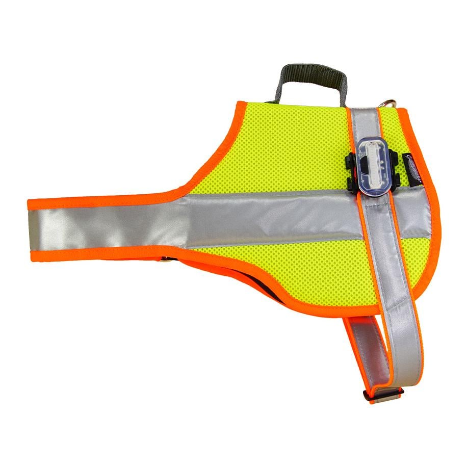 Hundeleuchtdecke Balou Profi  mit Led Lampen