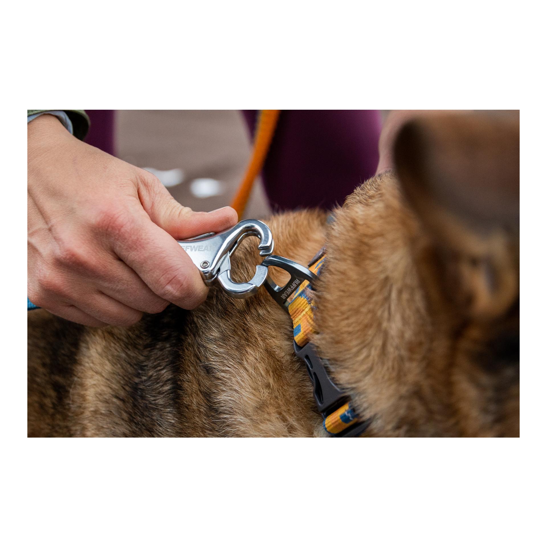 Laisse de jogging Roamer Bungee