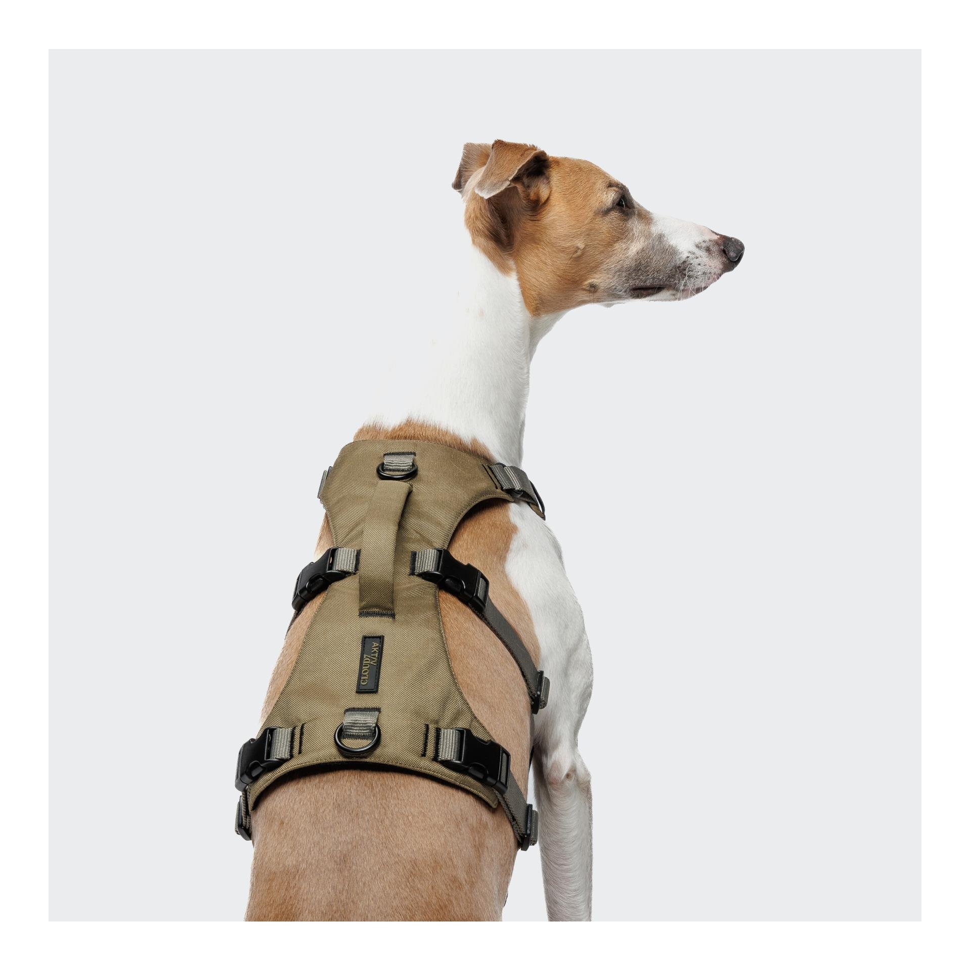 Y-Safe-Hundegeschirr