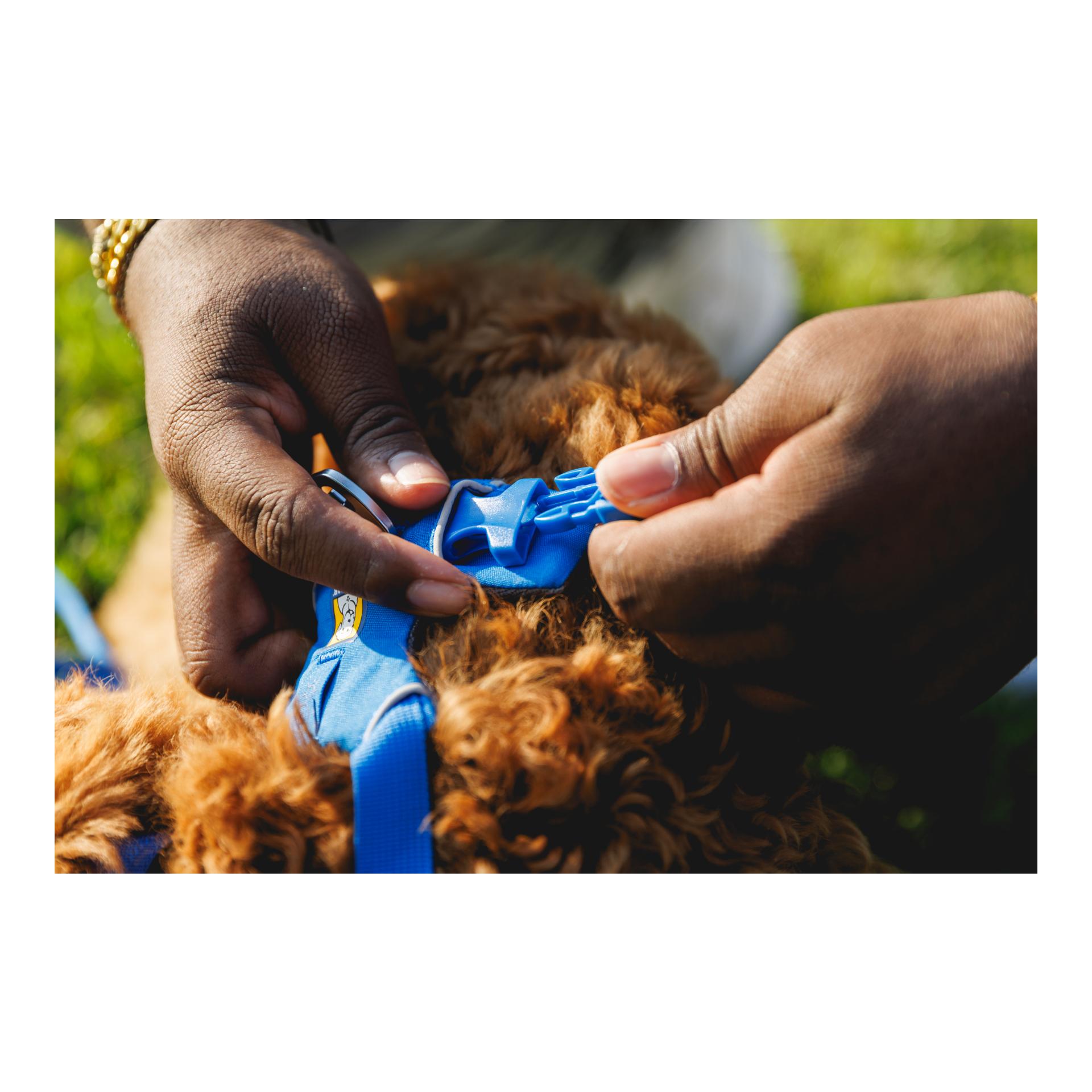 Front Range® harnais pour chien 