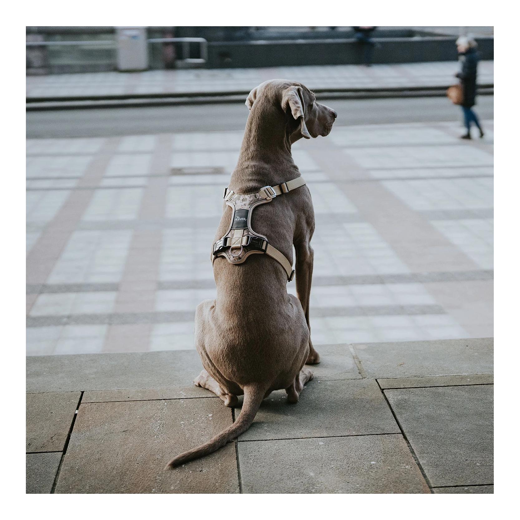 Geschirr Divo Camouflage