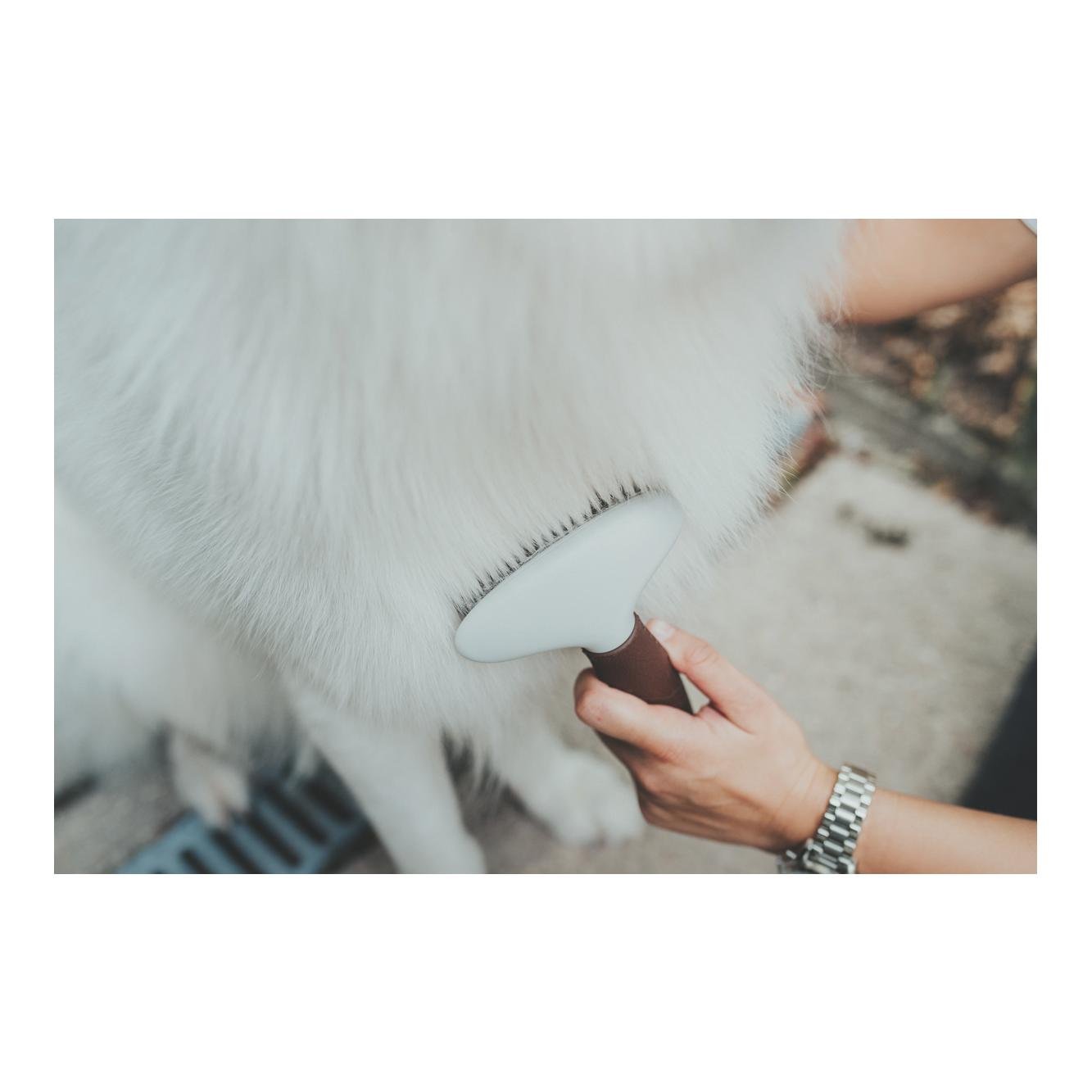 Entwirrungsstriegel zweireihig Spa