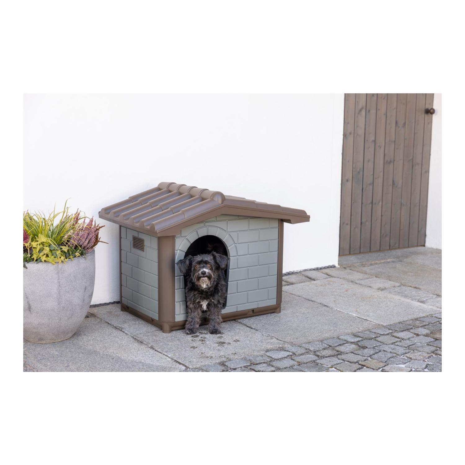 Hundehütte Levin Eco