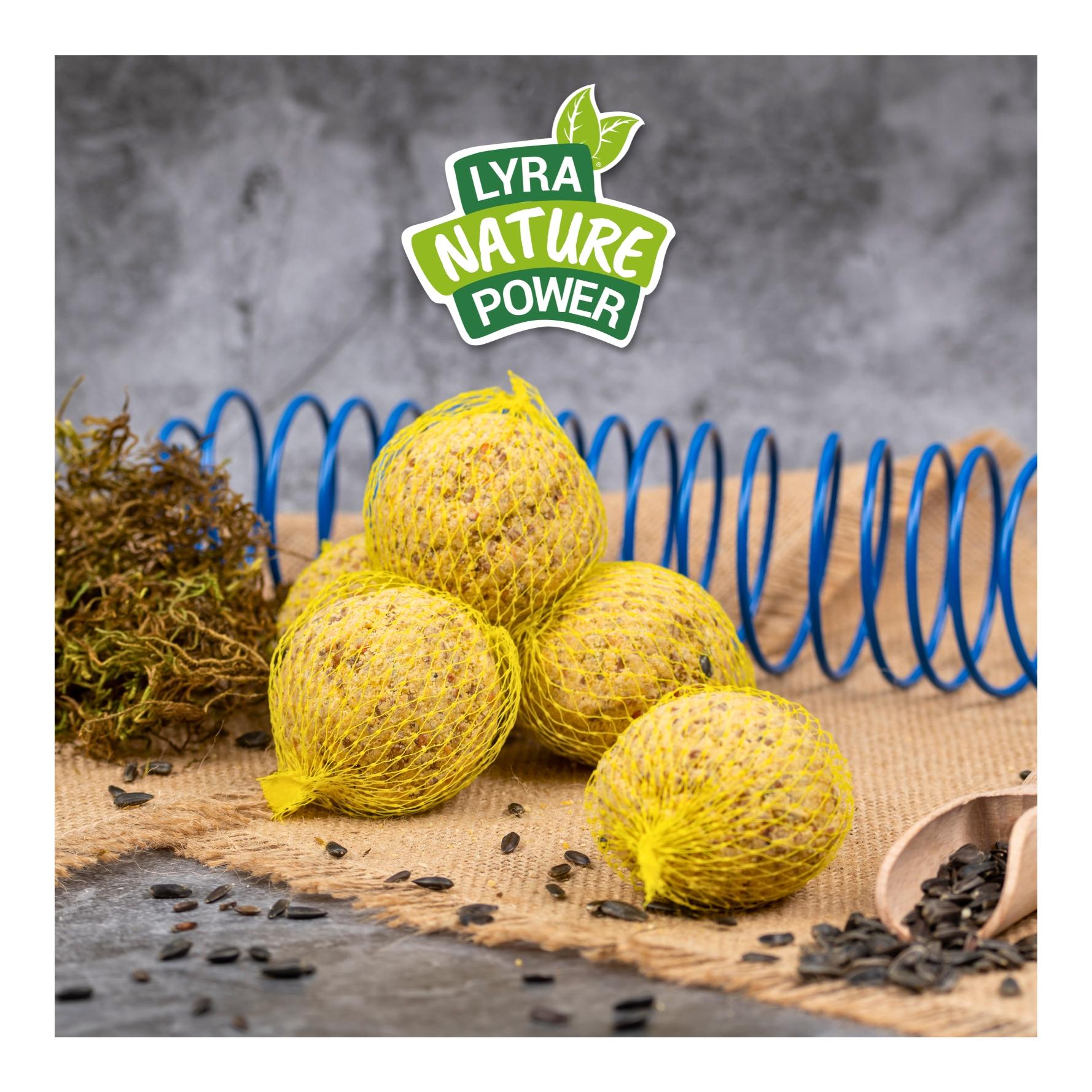 Meisenknödel mit Netz