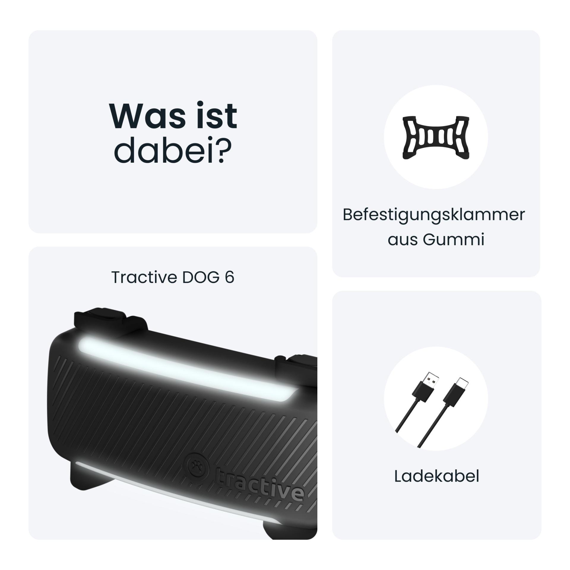 Tracker GPS pour chiens DOG 6