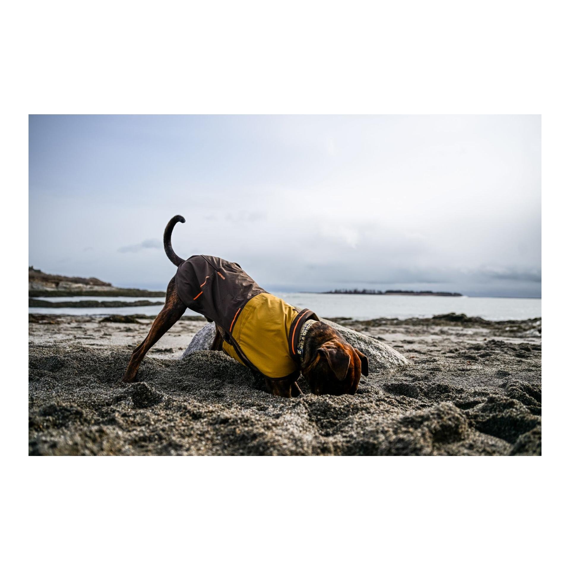 Hundemantel Sun Shower Jacket