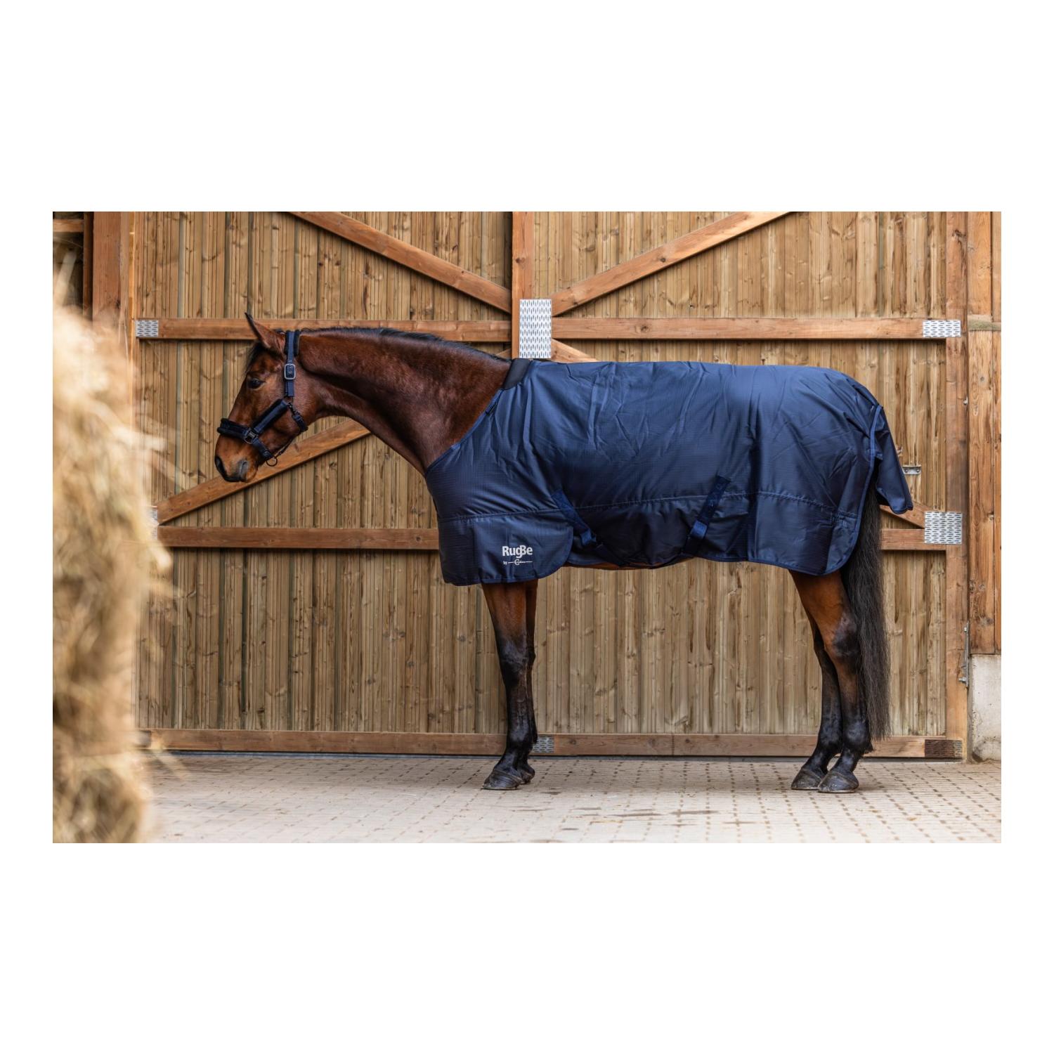 Winterdecke IceProtect 300g