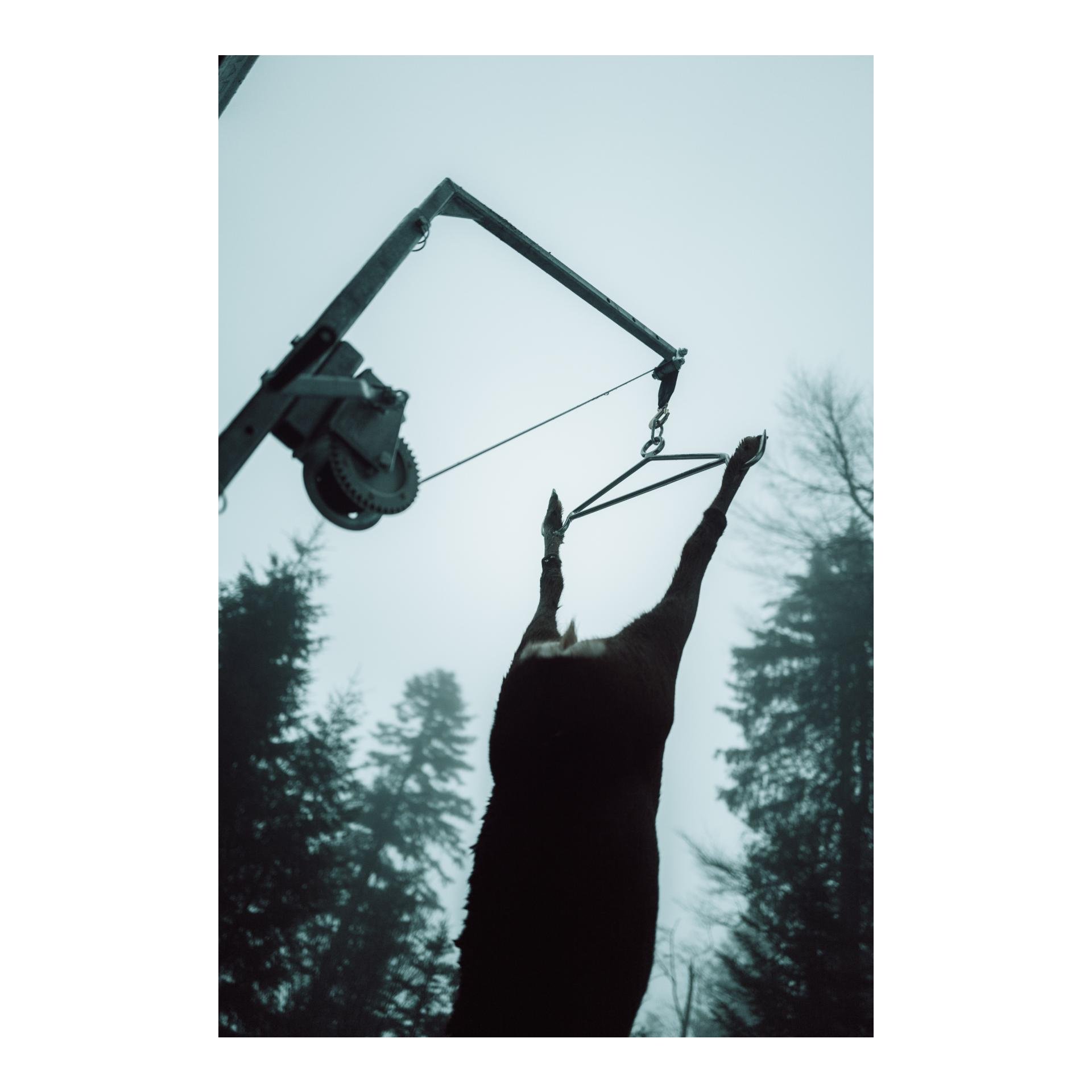 Mobile Aufbrechhilfe für Heckträgermontage