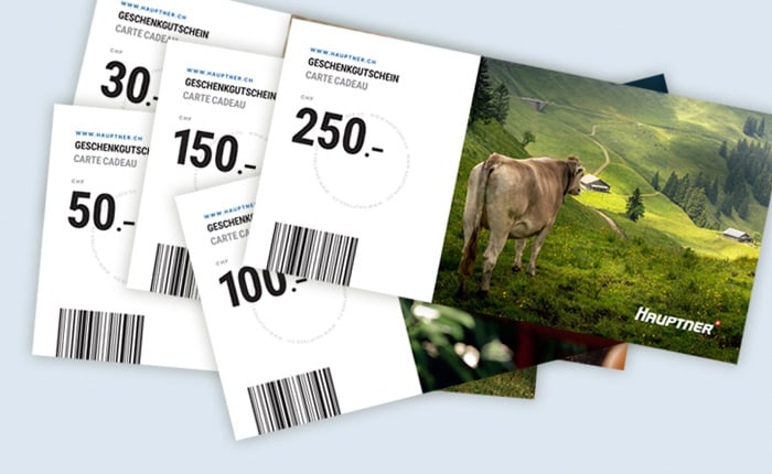 geschenkgutschein-hauptner