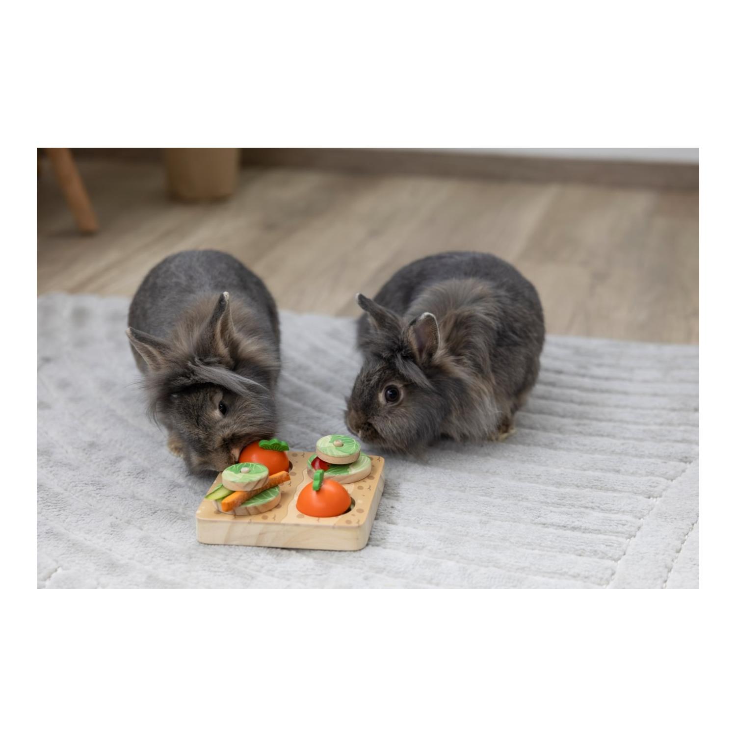 Denk- und Lernspielzeug Veggie für Kaninchen