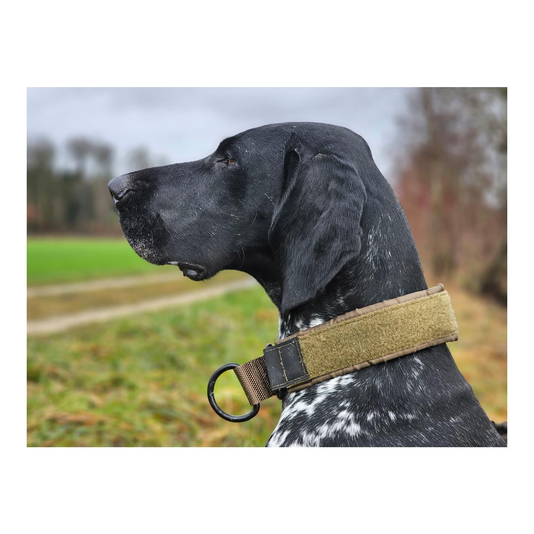 Hundehalsband Solid Collar Working Dog