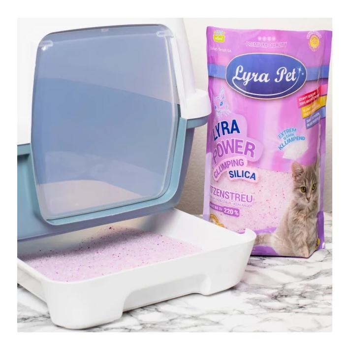 Lyra Power Silica Silikat klumpend Katzenstreu