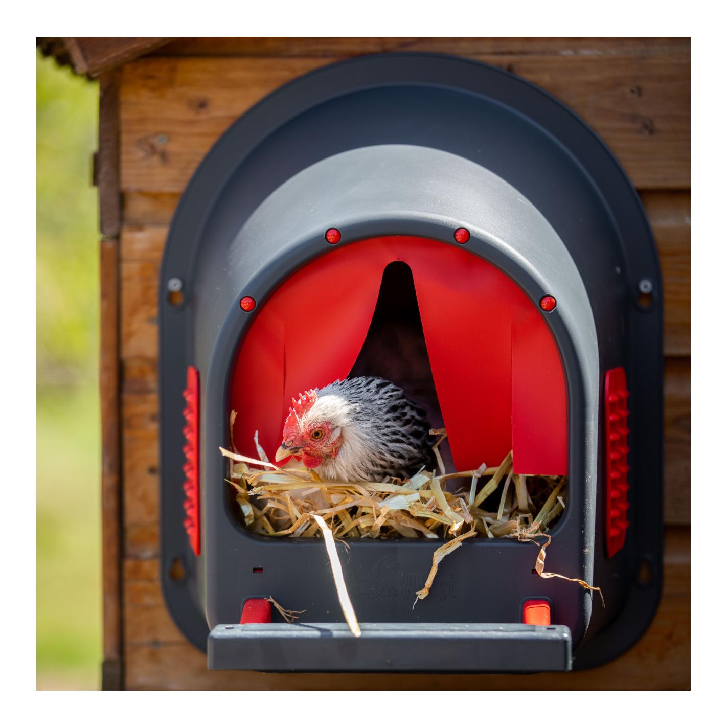 Einstreu-Legenest zur Wandmontage