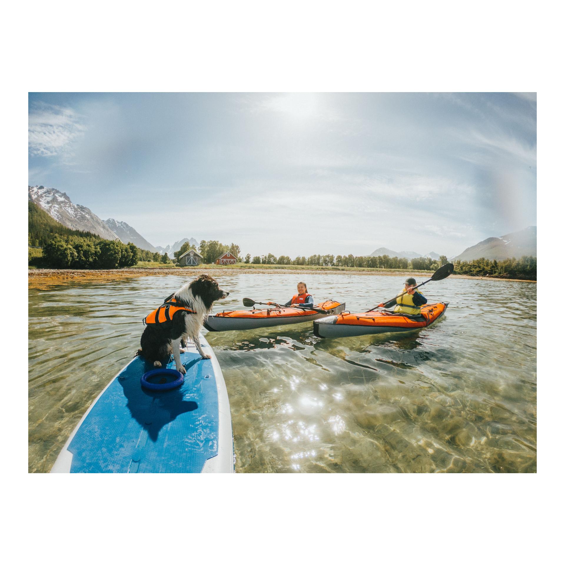 Safe Life Jacket 2.0 Hundeschwimmweste - orange 