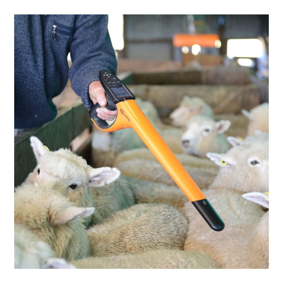 APS Ohrmarken-Lesegerät SmartReader HR4