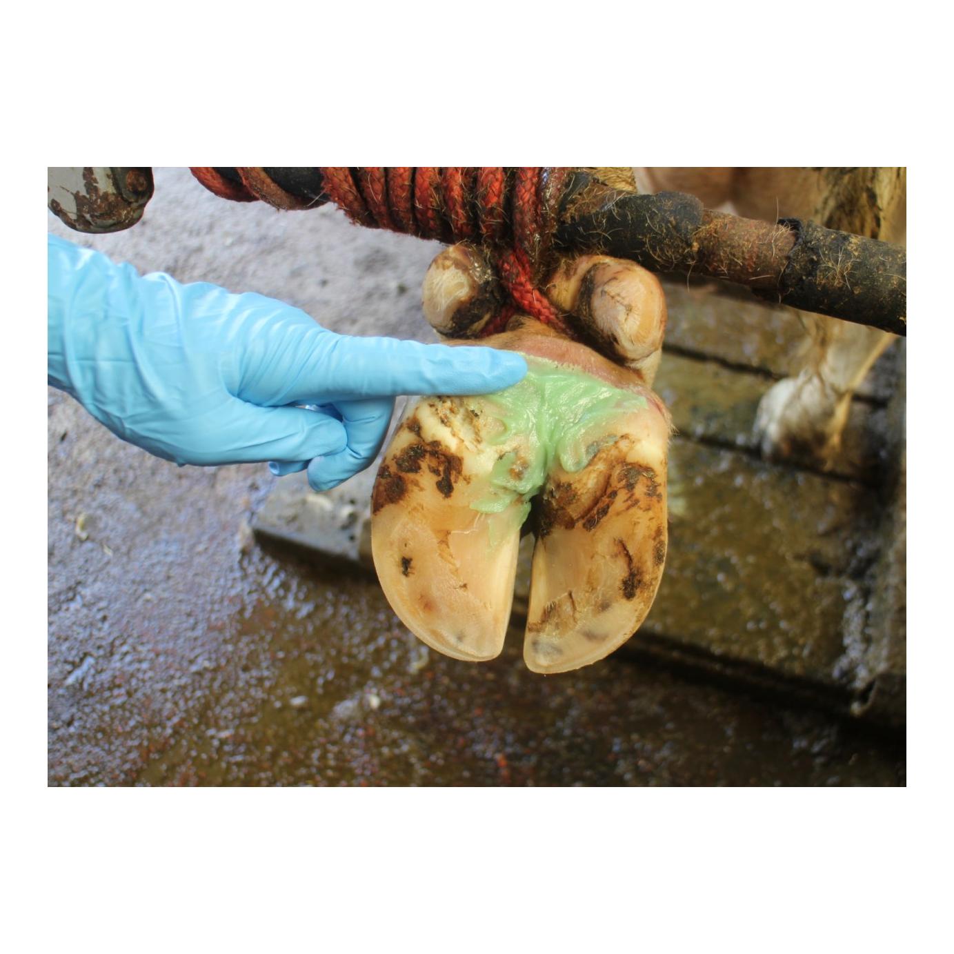 Kerbl Klauenpaste Podoseptan