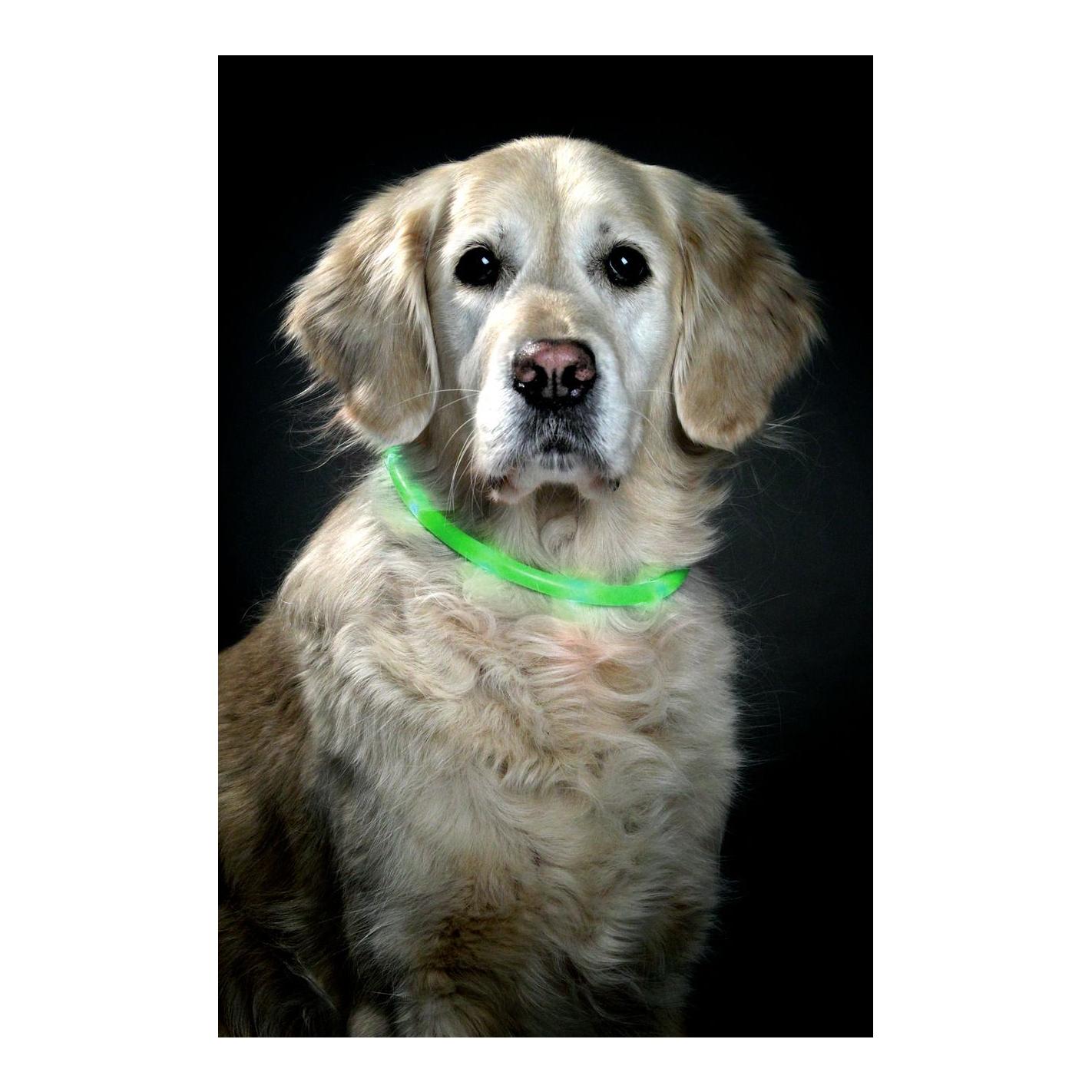 Visio Light LED, Leuchtschlauch - grün