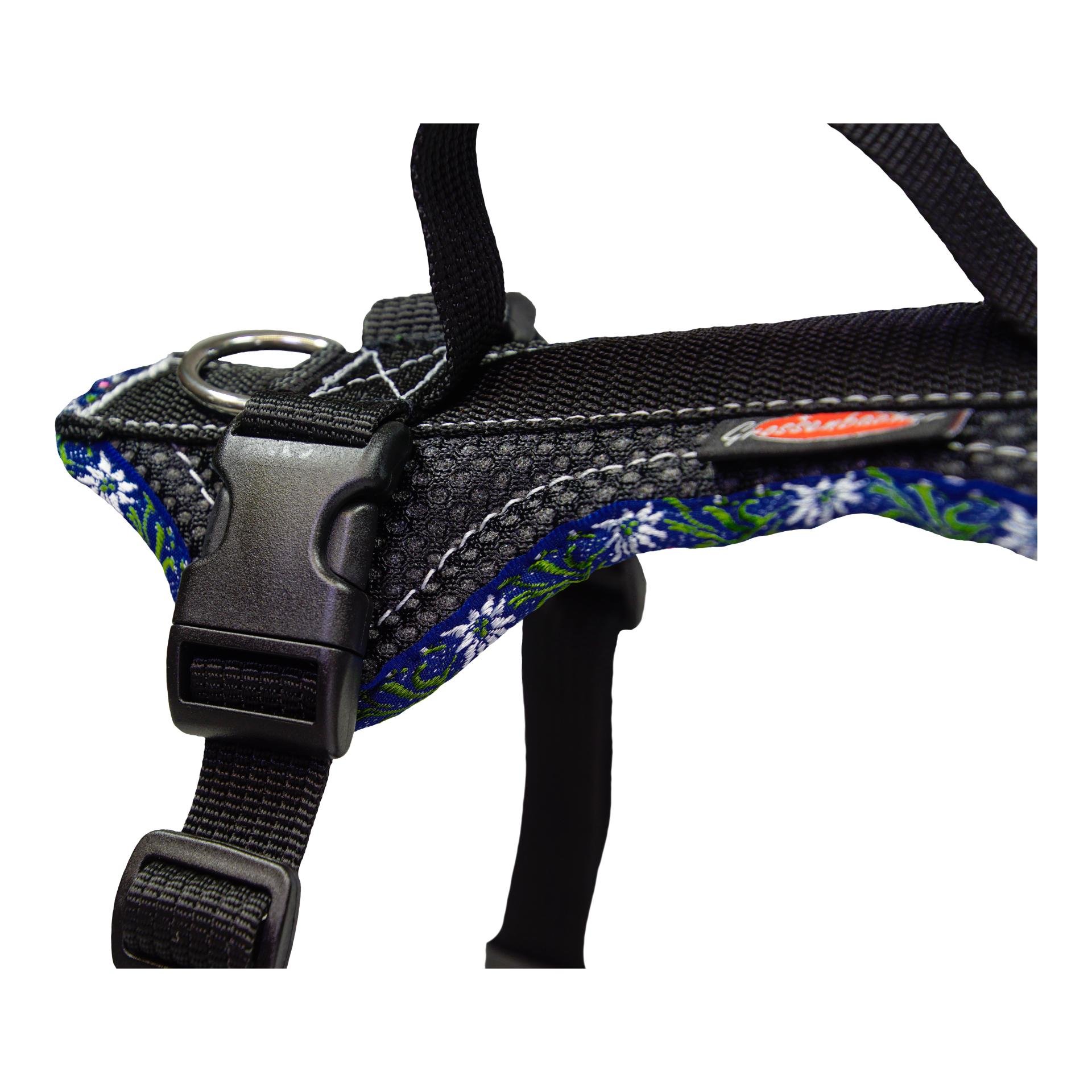 Dogs Fun Run Hundegeschirr