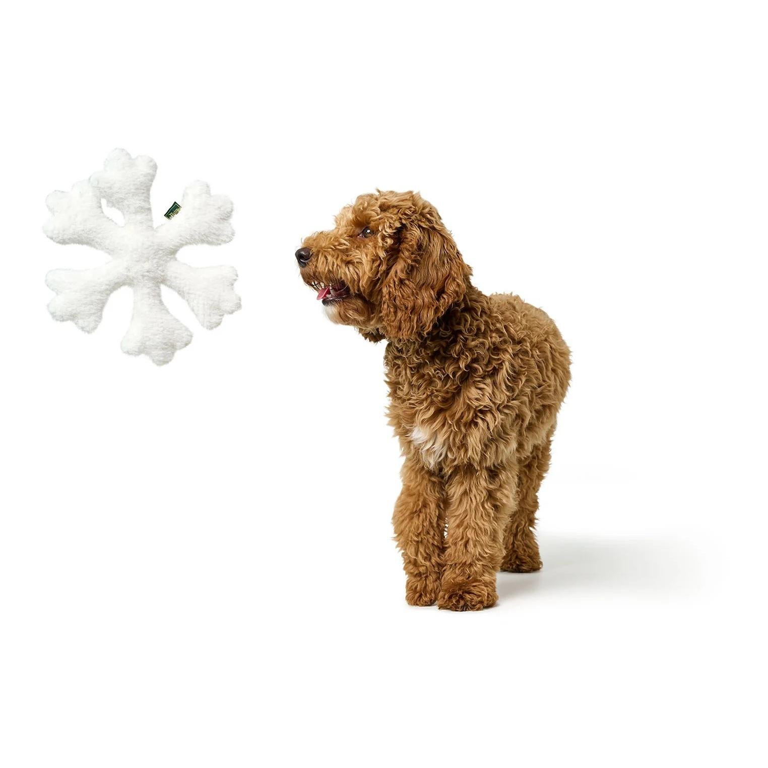 Hundespielzeug Sitka Schneeflocke