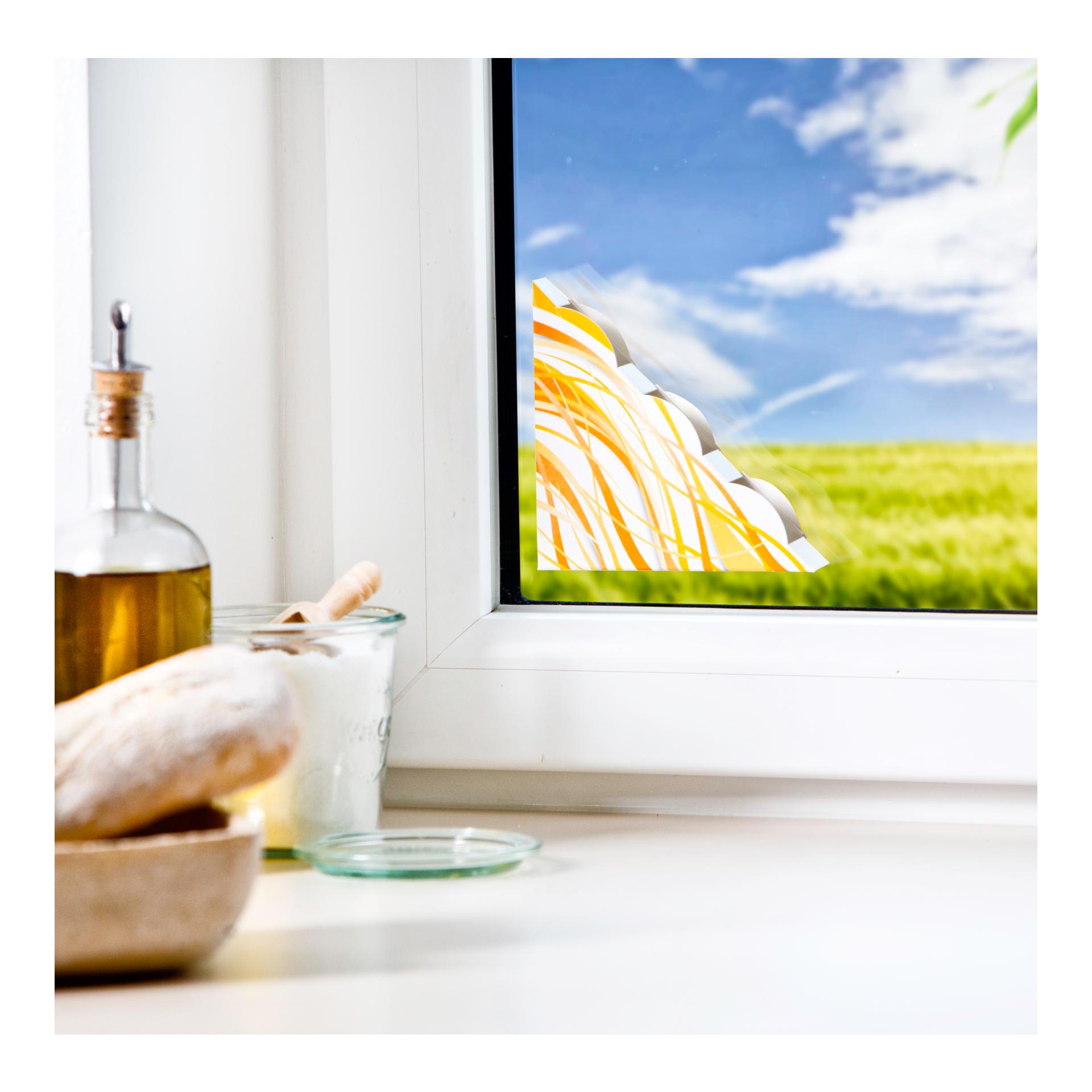 Fliegenfalle Fenster Discreet