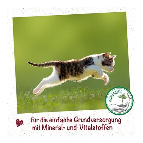 feliTATZ MineralKraft