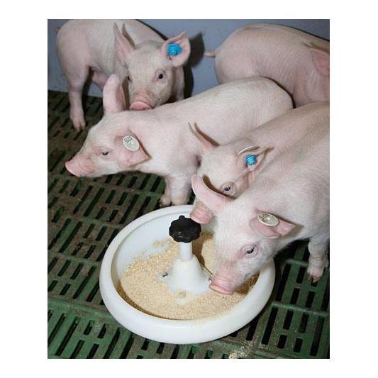 Kerbl Ferkelschale Kunststoff mit J-Haken